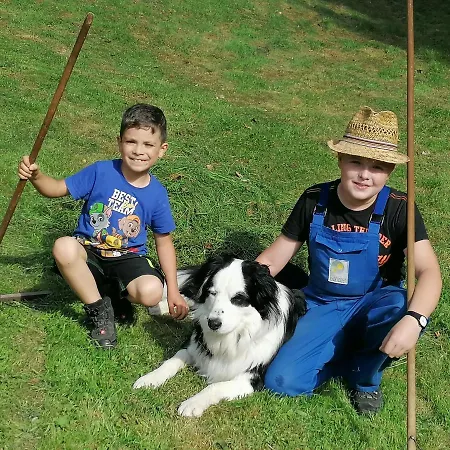 아파트 Ferienwohungen Im Kuchersbach *