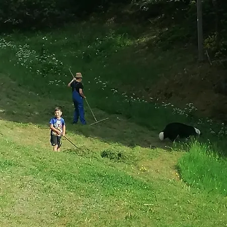 Ferienwohungen Im Kuchersbach Hornberg
