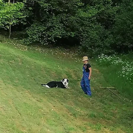 Ferienwohungen Im Kuchersbach 호른베르크