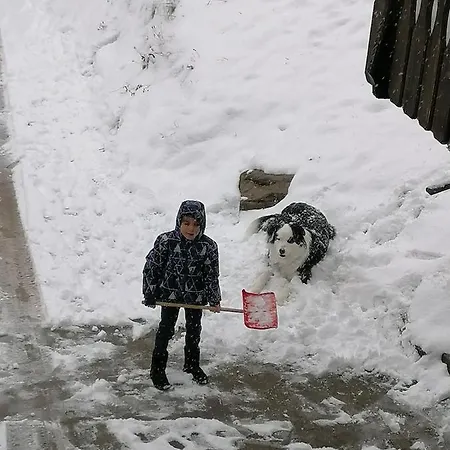 Ferienwohungen Im Kuchersbach 호른베르크