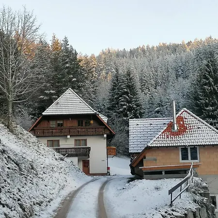 Ferienwohungen Im Kuchersbach 아파트