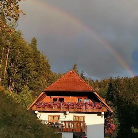 Apartment Ferienwohungen Im Kuchersbach