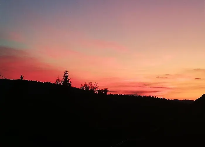 Lejlighed Ferienwohungen Im Kuchersbach *