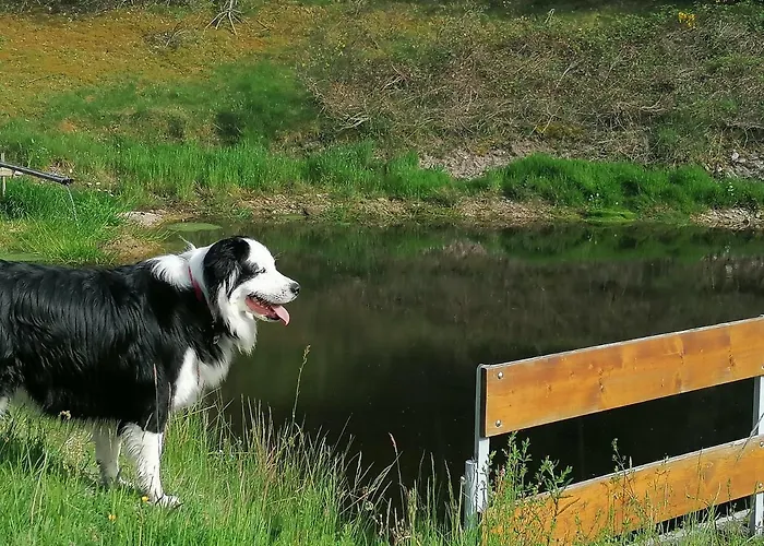 Lejlighed Ferienwohungen Im Kuchersbach *