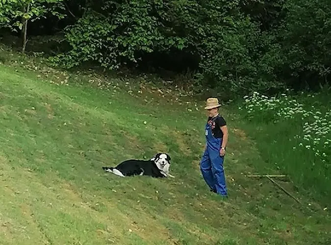 Ferienwohungen Im Kuchersbach Hornberg