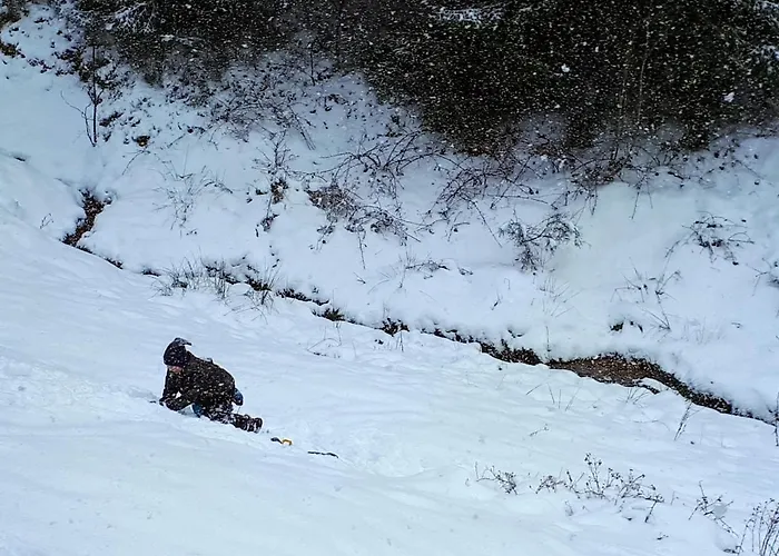 Ferienwohungen Im Kuchersbach Appartamento