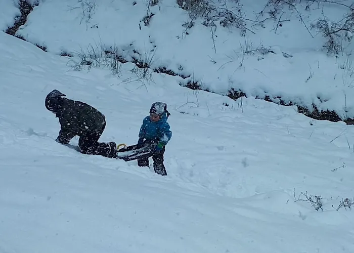 Appartamento Ferienwohungen Im Kuchersbach Hornberg