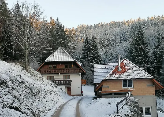 Ferienwohungen Im Kuchersbach Lejlighed